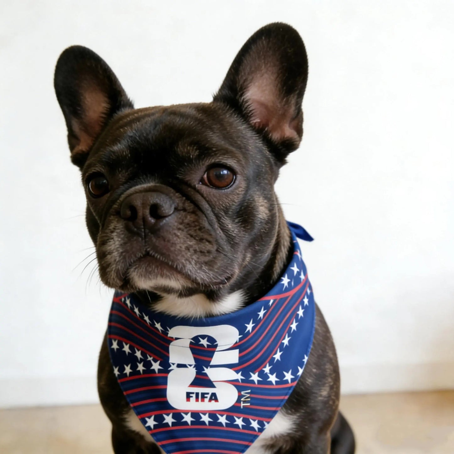 2PC 2026 World Cup FIFA Official Licensed Pet Products 2-In-1 Reversible Dog Bandana Durable Adjustable Pet Dog Collar & Leash Set