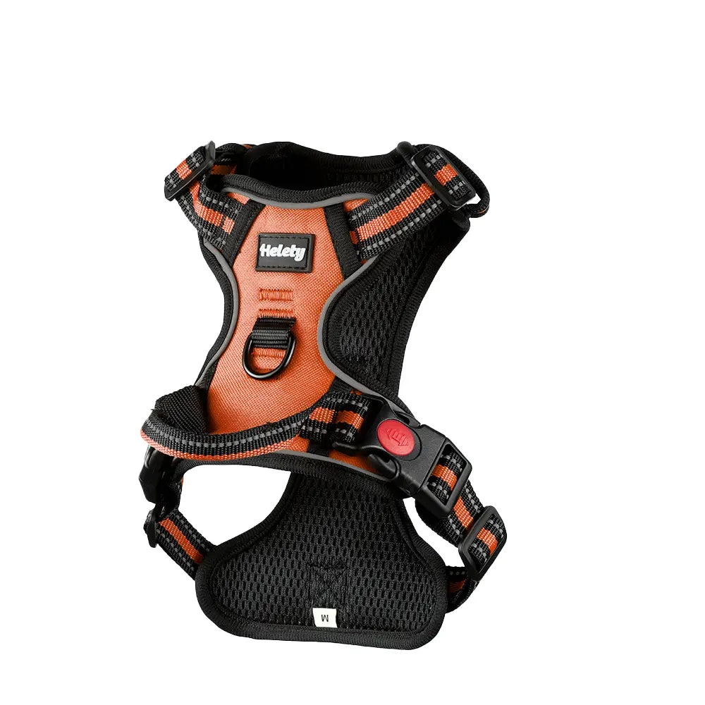 Dog Vest Harness & Leash Set for Medium Large Dogs - 3-Sec Quick Fit, Escape-Proof, Adjustable 3-In-1 Walking Kit with Padded Comfort Neck Plate Safe Plush Corduroy Pet Harness New