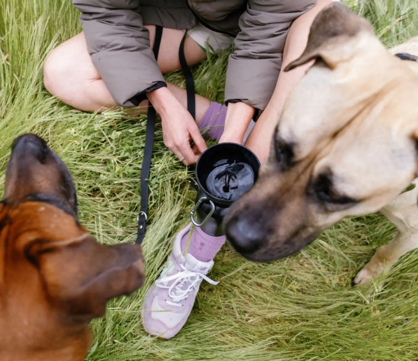 Tiktok Exclusive: 20Oz Flip Dog Travel Water Bottles (Set of 2)