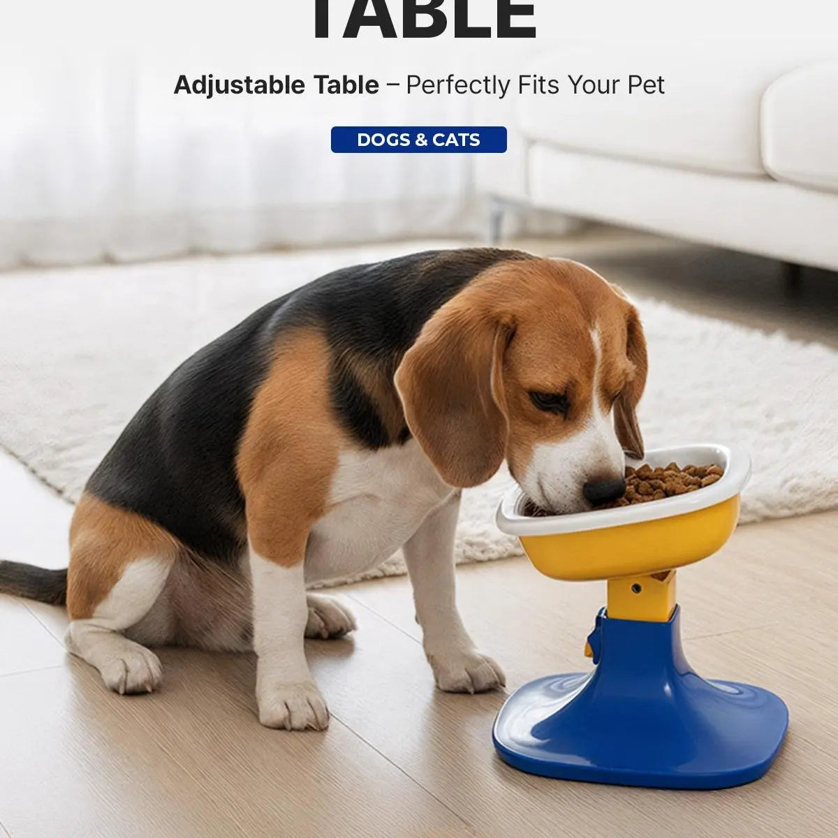 PETHROOM Well Fit & Bowl Set - Adjustable Height, Tilt, Stable Non-Slip Feeding Stand for Dogs & Cats + Durable Ceramic Cat & Dog Food Bowl