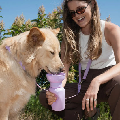 Tiktok Exclusive: 20Oz Flip Dog Travel Water Bottles (Set of 2)