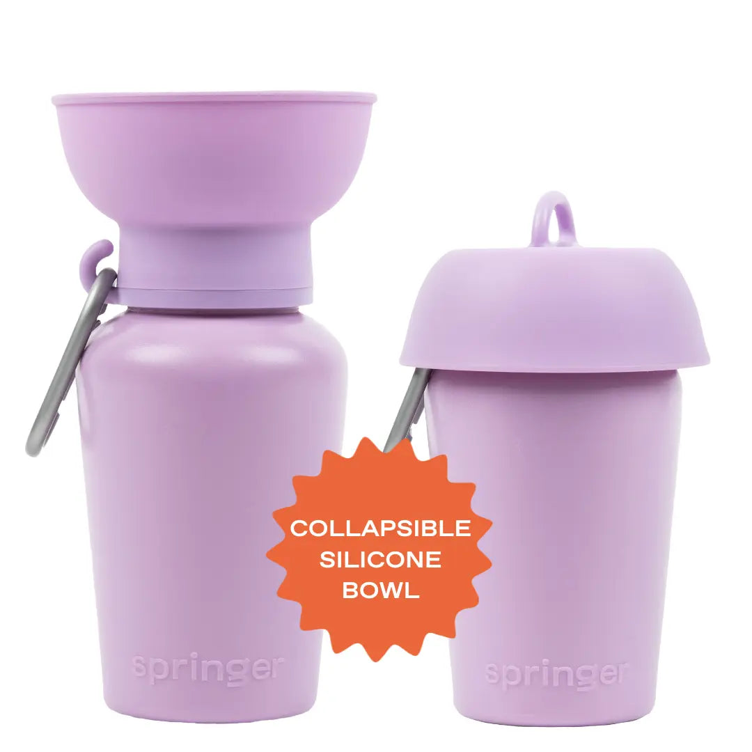 Tiktok Exclusive: 20Oz Flip Dog Travel Water Bottles (Set of 2)